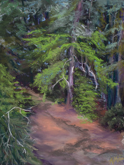 Spirit of Tree LA24