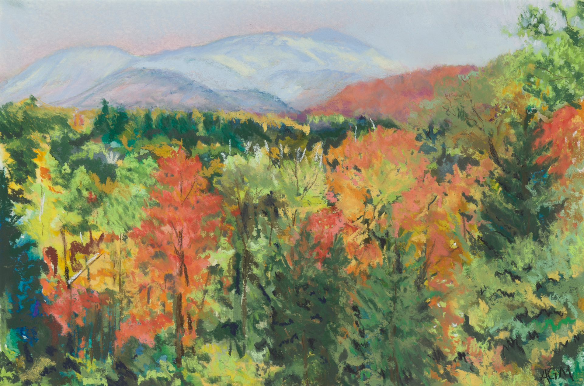 Vermont Hills LA11