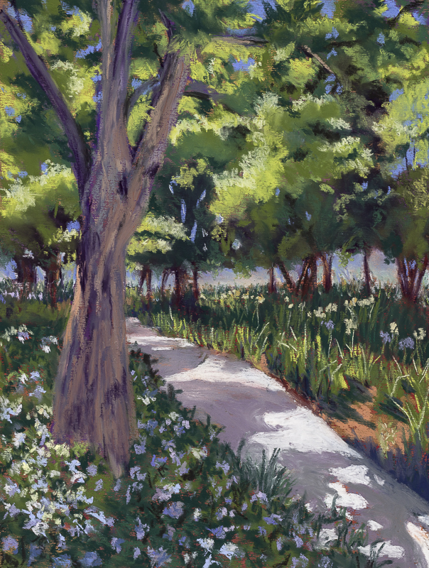 Sunlit Tapestry LA17