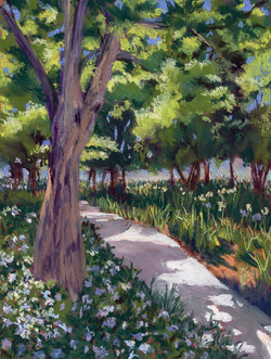 Sunlit Tapestry LA17
