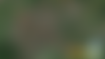 Feest en lichtweek route