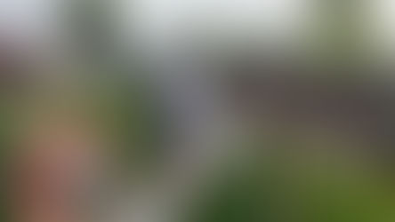 Wandel4daagse weer groot succes!