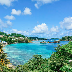 MSC Cruise Lines