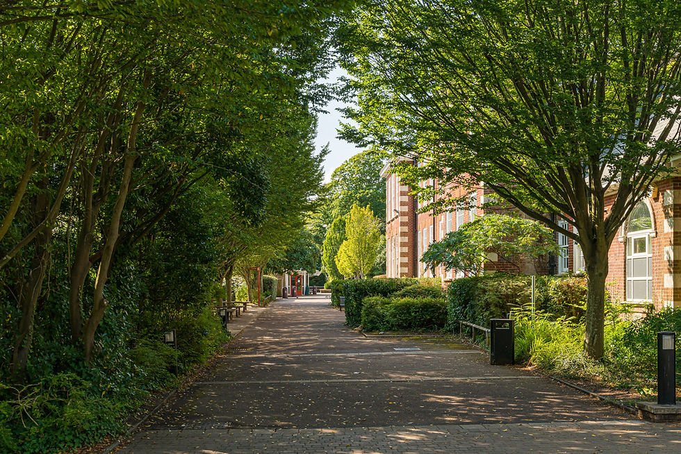 External image of The Westgate School Winchester building.