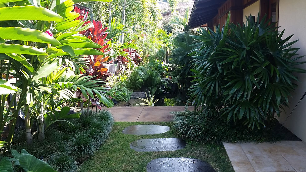 Landscaping Kona Hawaii, Alii Lawn and Garden