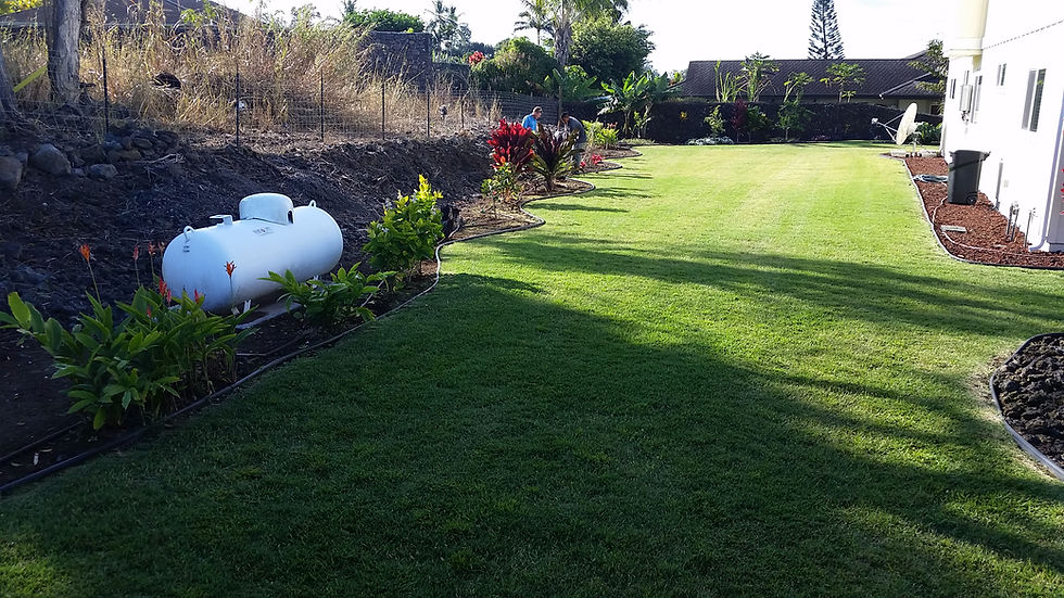 Landscaping Kona Hawaii, Alii Lawn and Garden