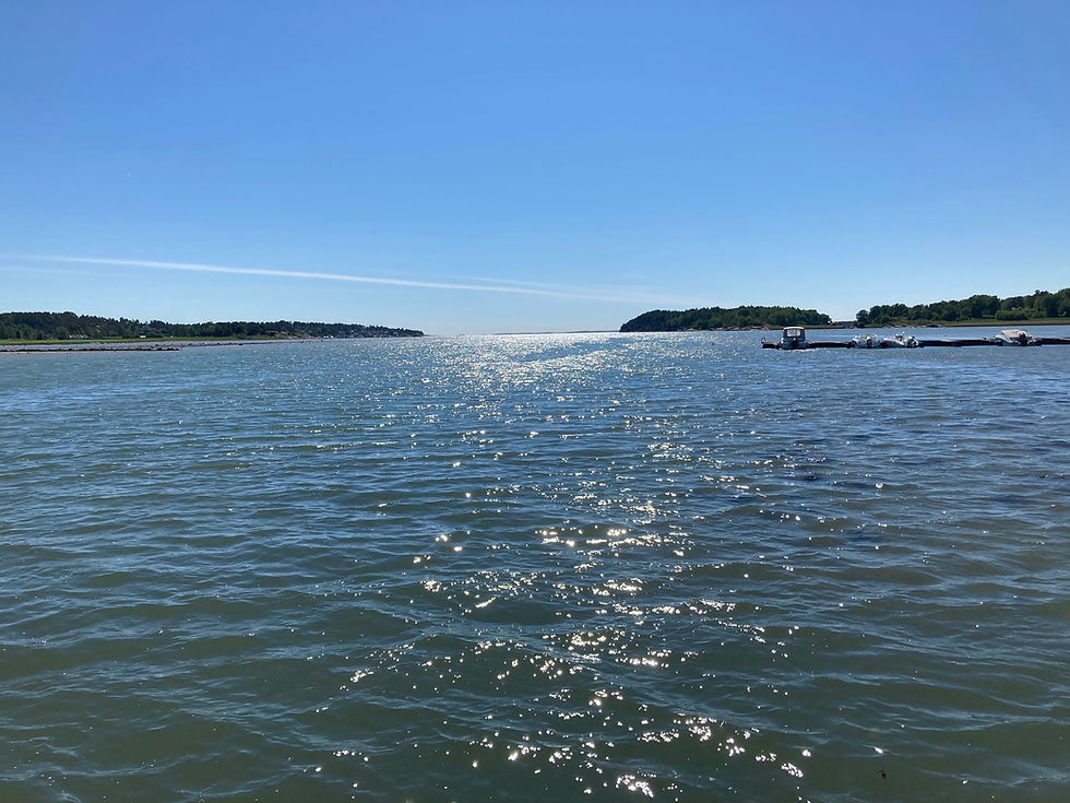 Årsmøte i Krogstadfjorden VA 19.juni