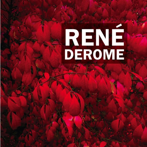 Exposition-MRC-Haut-St-Laurent-Rene-Derome-Salle-Alfred-Langevin-Image-courtoisie-publiee-