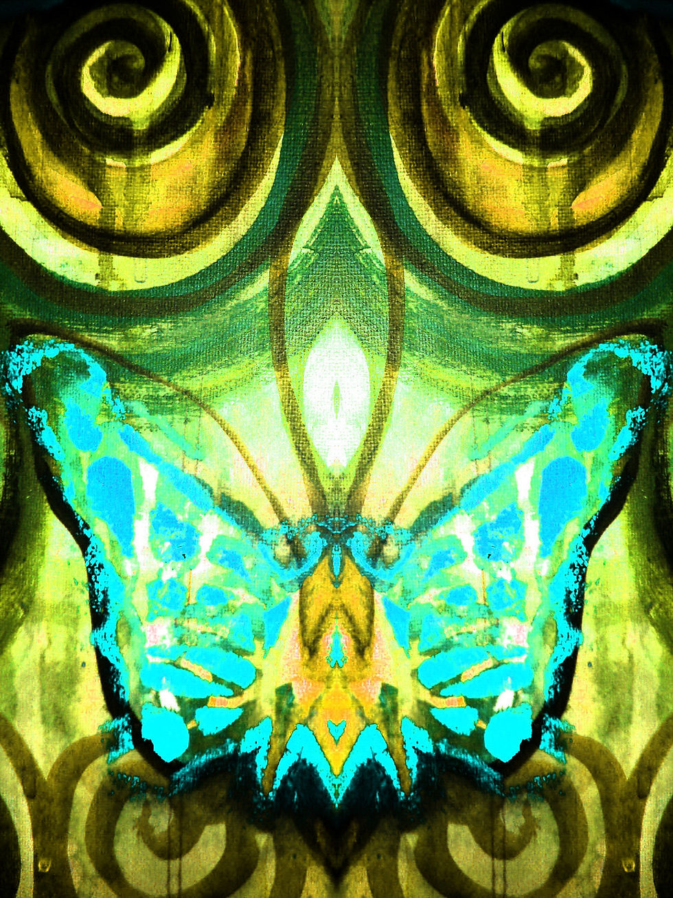Butterfly