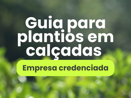 Guia para Plantio em Calçadas: tamanho mínimo da muda, recipiente ideal e regras para o plantio urbano no Rio de Janeiro