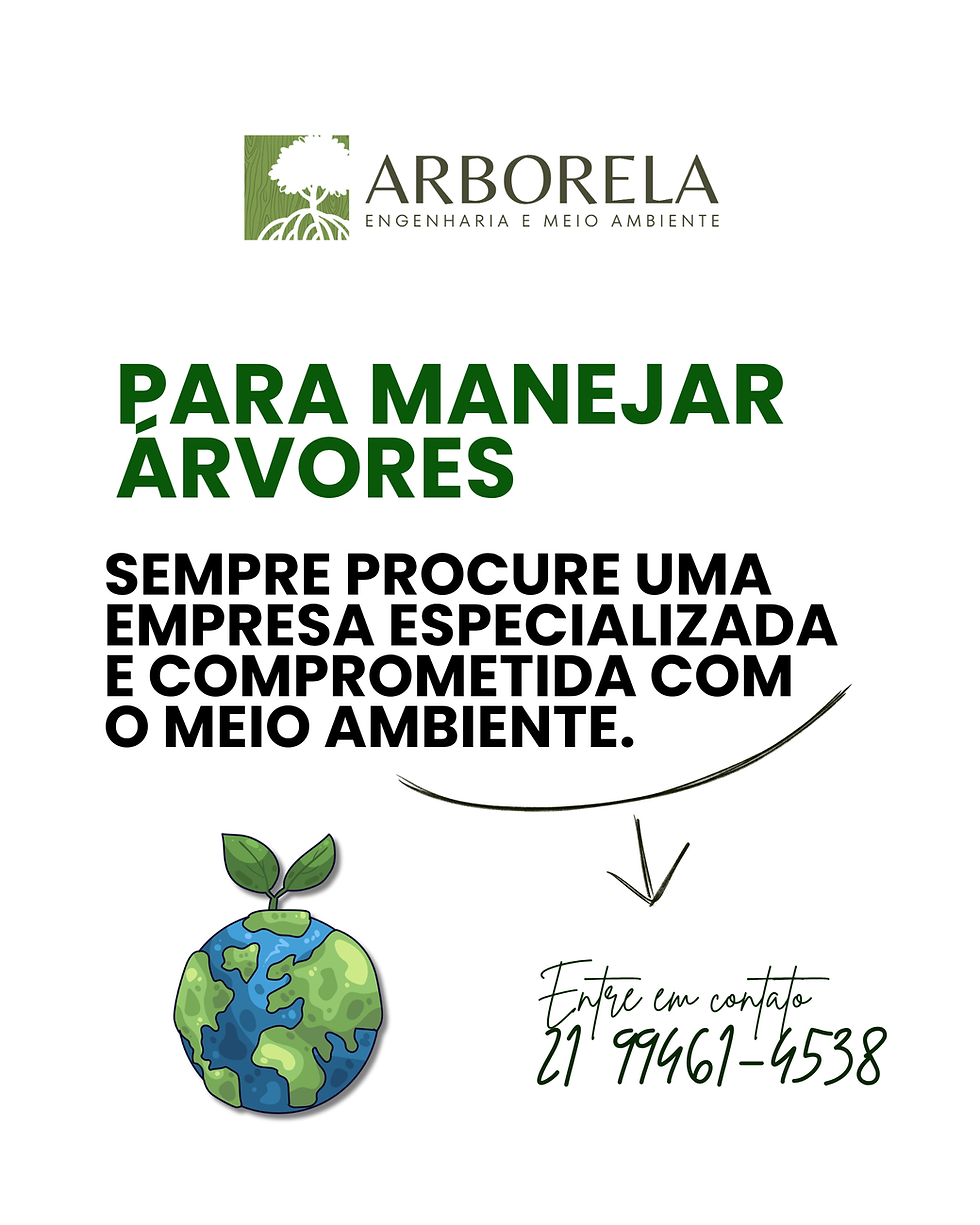 Conteúdo técnico sobre plantio em calçadas explicando o tamanho mínimo da muda, expansão das raízes, remoção do recipiente e boas práticas de arborização urbana.