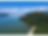mangroove (5).png