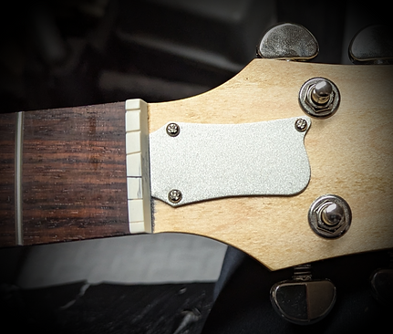 Truss rod cover on headstock