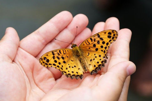Your Chronically Ill Child’s Journey To Acceptance