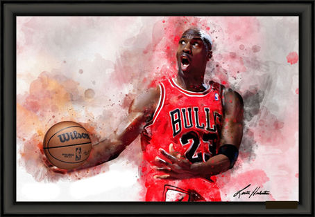 Jordan Slamdunk 3d framed