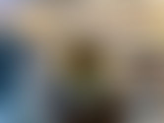 THE SCOOP THAT NEVER MELTED