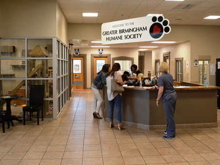 GBHS’s Board Has Failed Us