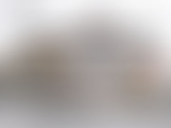 "Whistleblower" Asks Congress for New Protective Legislation