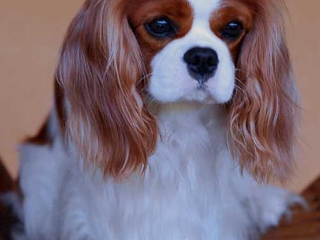 Playing “Dirty” In The Name of “Good”