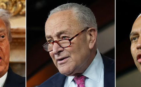 The Democratic Party is leaderless and rudderless.