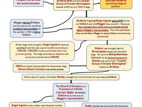 It All Started With A Cavalier Named "Gideon"