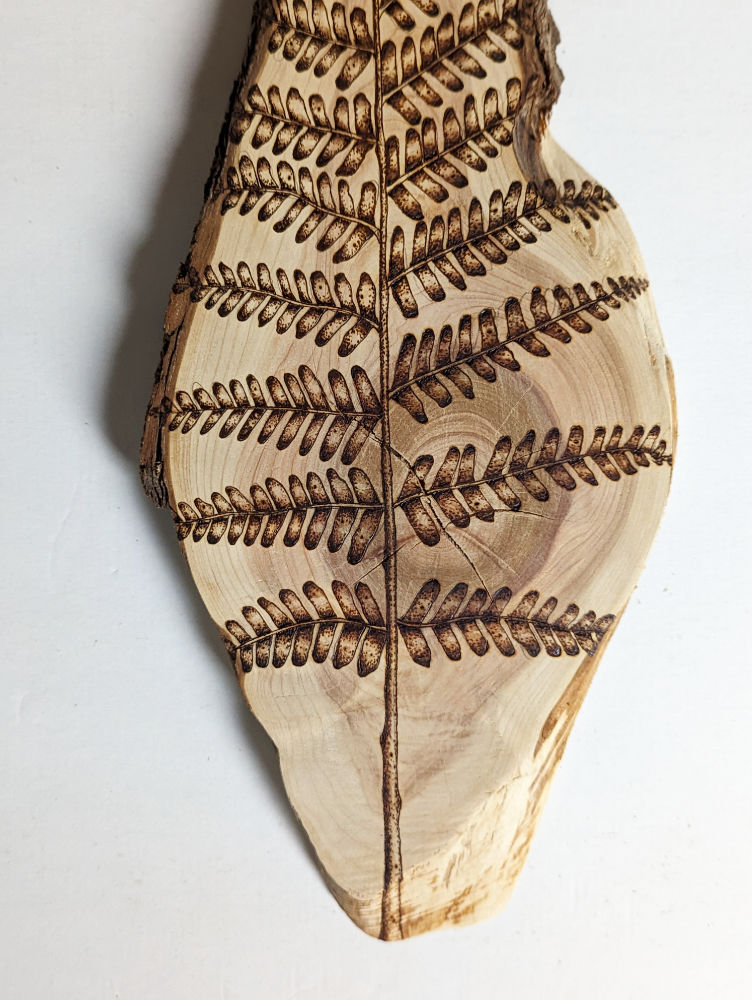 Thumbnail: Wall Hanging Art - Fern