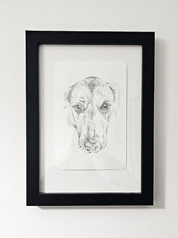 Lou_Griffiths_Art_Pet_Portrait_German_Shepherd (3).jpg