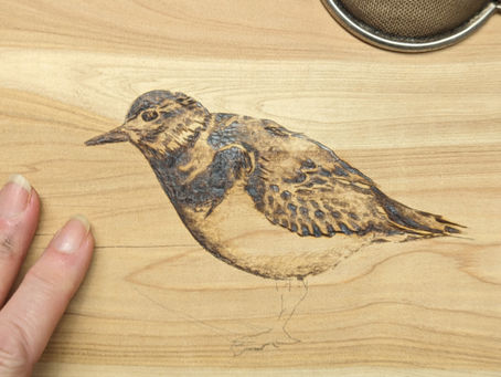 Reflection Over Renewal