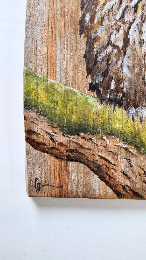 Thumbnail: Driftwood Painting - The Tawny Owl