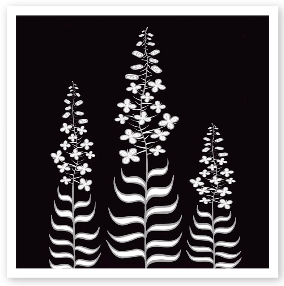 Thumbnail: Fireweed Fine Art Print