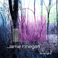 Jamie Finegan - Emergent