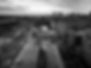 Winnipeg_back1_BW.jpg