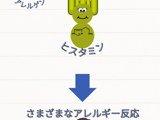 アレルギー、それはある日突然に!