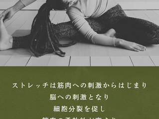 筋肉は伸びません。だからサルコメアの数が大事になります。