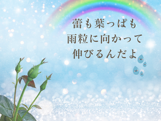 植物の生命力