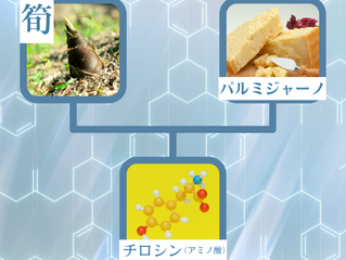 筍とパルミジャーノ