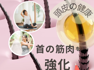 頭皮の健康 首の筋肉を強化する!