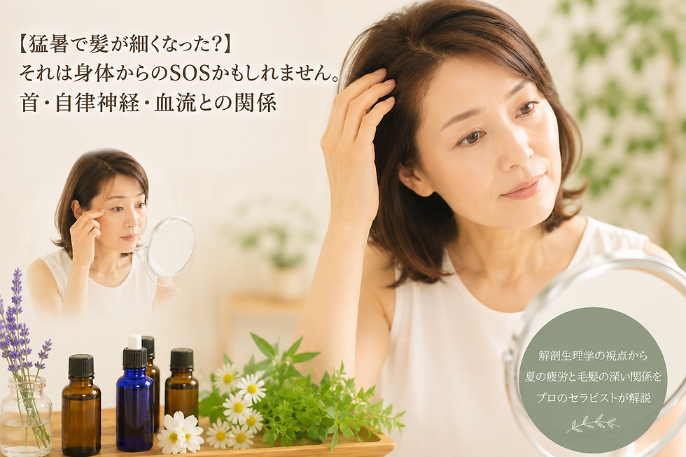 猛暑で髪が細くなった?まつ毛も?