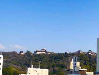 春の訪れとともに、心と体を整える時間