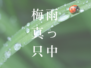 「夏至」は梅雨の中頃。だるい季節に癒される精油。