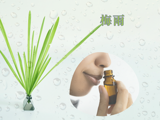 梅雨時期のセルフケア ストレス管理に役立つアロマテラピー