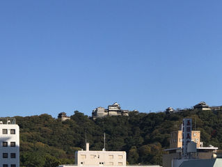 22年目の朝
