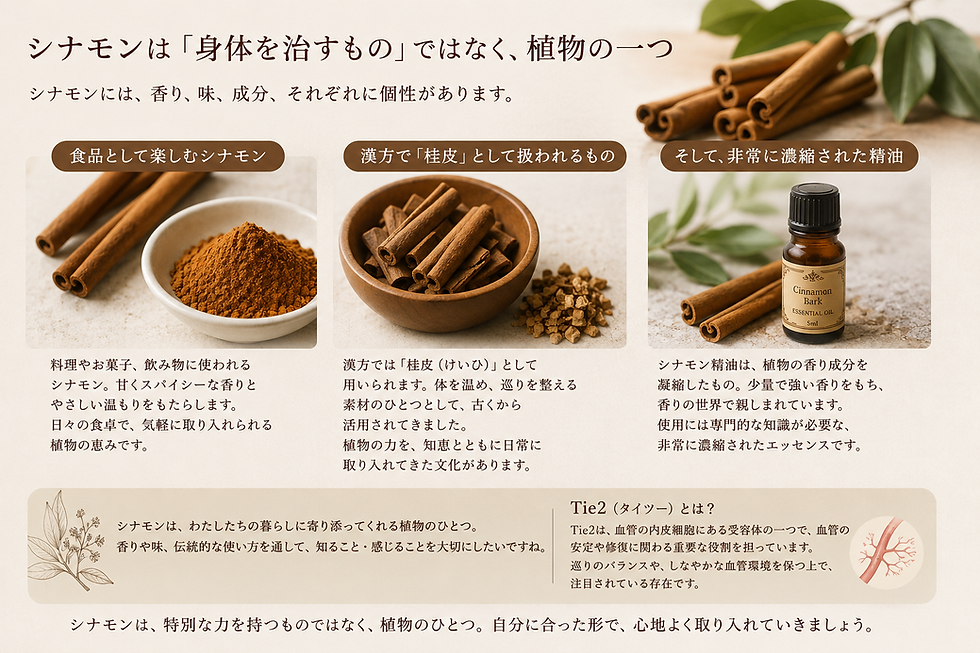 シナモンは「身体を治すもの」ではなく、植物の一つ