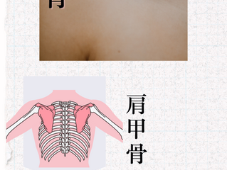 鎖骨美人:横一線ラインが理想の鎖骨