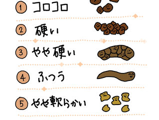 うんち、、のこと