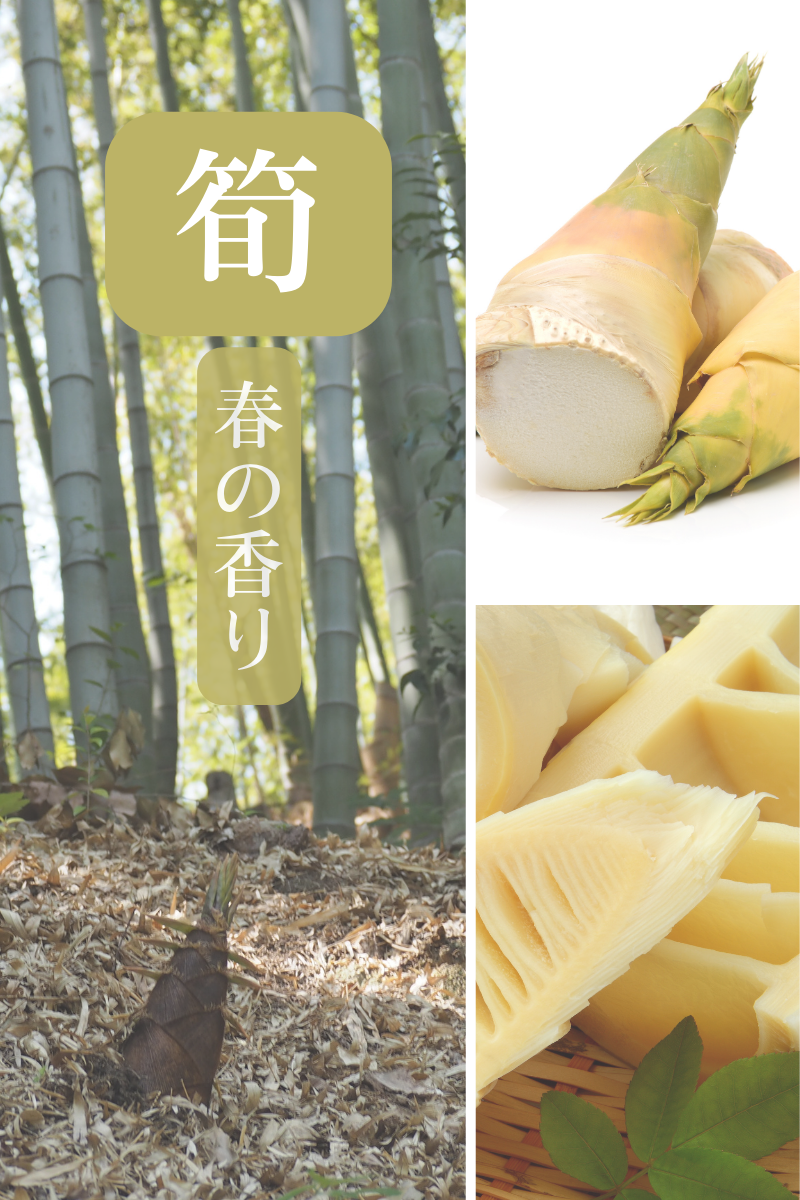 筍 春の香りとともに