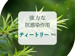 寒くなるこれからの季節に大活躍!強力な抗感染作用をもつ精油。