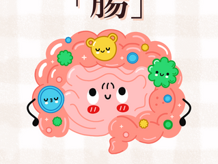 隠れたシミを撃退する「腸」