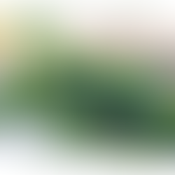 ジュニパーベリー精油