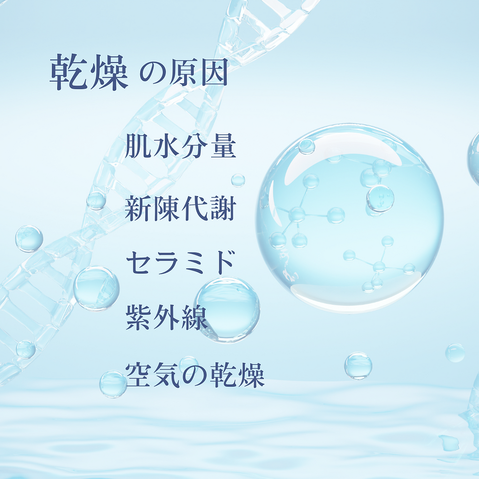 肌の乾燥の原因